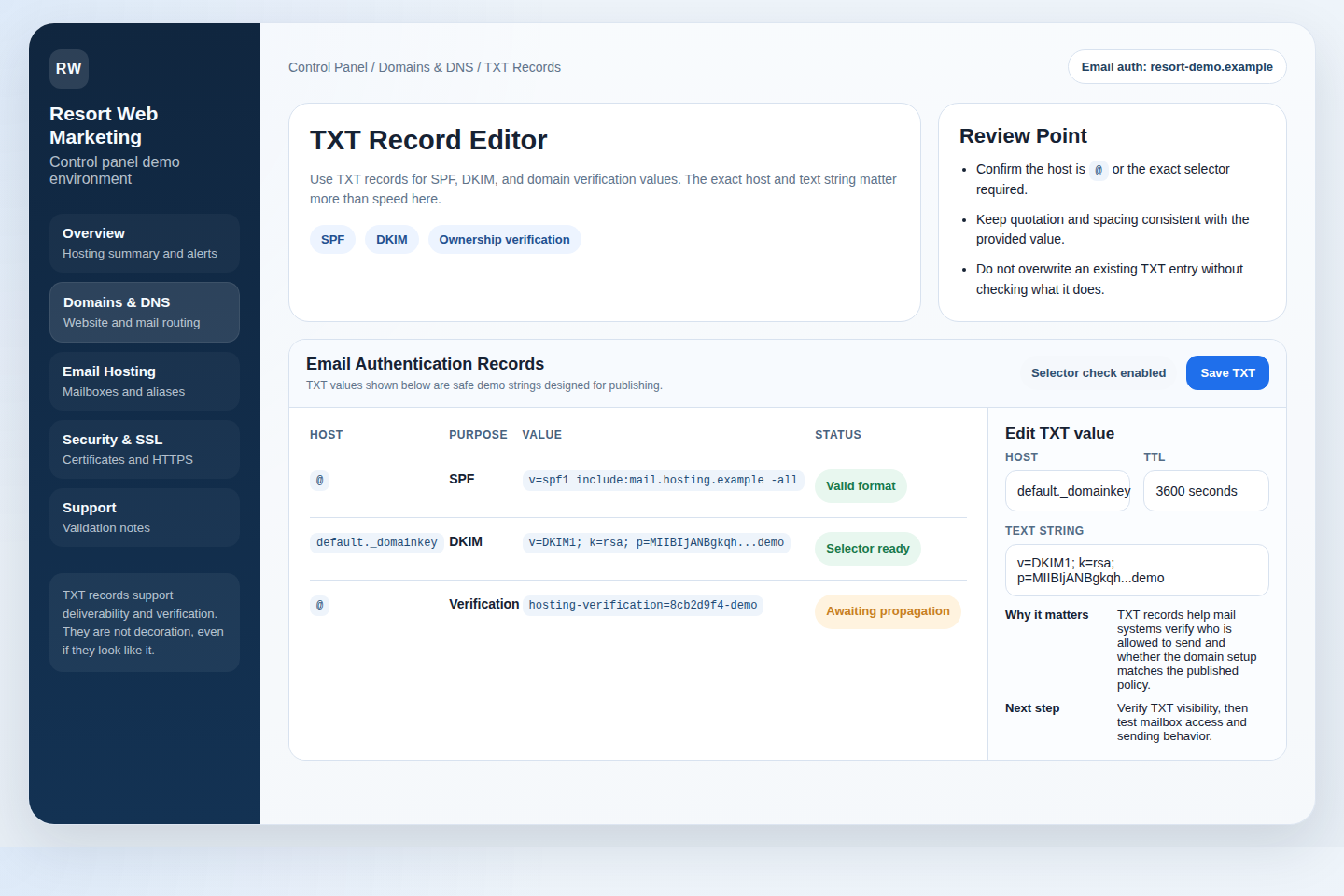 Demo control panel TXT record editor showing SPF, DKIM, and verification entries for email deliverability.