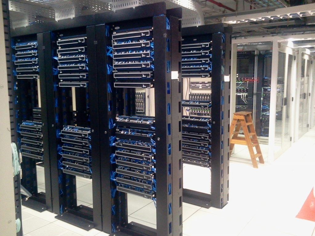 Server hardware supporting managed website hosting and control panel services